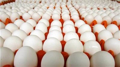 سعر طبق البيض اليوم الإثنين 20 فبراير 2023 