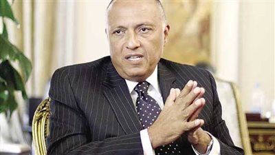 شكري يبحث هاتفيا سبل تعزيز التعاون والدعم المتبادل مع وزير خارجية فنزويلا