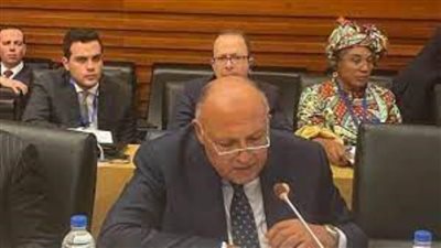 شكري يستعرض نتائجCOP27 أمام لجنة رؤساء الدول والحكومات الأفريقية المعنية بتغير المُناخ