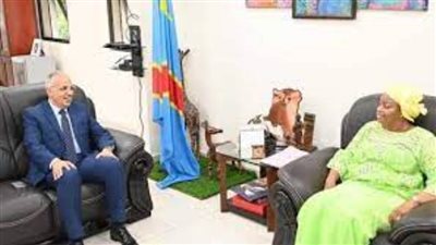 وزير الري: إنشاء 12 محطة مياه شرب جوفية بالطاقة الشمسية في الكونغو