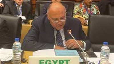 شكري يستعرض نتائجCOP27 أمام لجنة رؤساء الدول والحكومات الأفريقية المعنية بتغير المُناخ