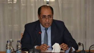 الجامعة العربية توافق على طلب فلسطين بتوفير الحماية الدولية ضد الانتهاكات الإسرائيلية