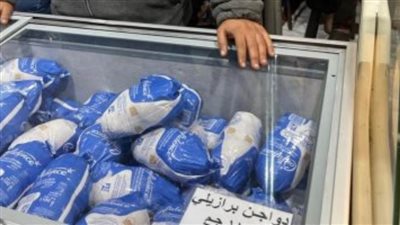 التموين: الدواجن البرازيلي المجمدة سليمة ومطابقة للمواصفات القياسية