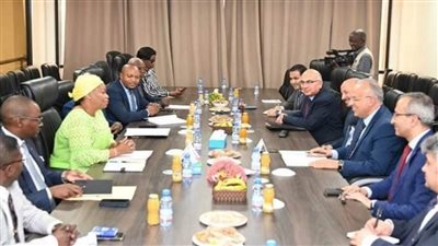 بحث التعاون المشترك |عودة وزير الري بعد زيارة للكونغو الديمقراطية وكينيا