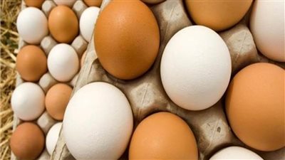 «الزراعة» تطرح كميات من البيض بأسعار مخفضة 