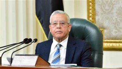 رئيس النواب: مصر ترفض التدخلات الخارجية فى الشأن العراقى 