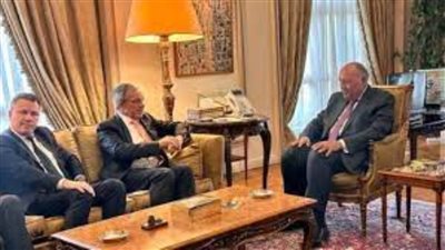 شكري وأوغلو يبحثان الوضع الأخير في تركيا بعد الهزات الأرضية المتكررة