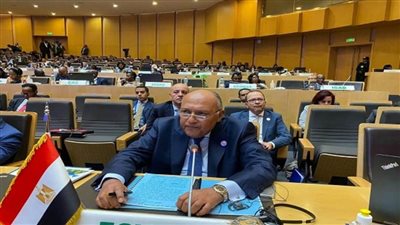 وزير الخارجية يؤكد أهمية أن تركن أطراف النزاعات لمبدأ الحلول الإفريقية للمشاكل الإفريقية