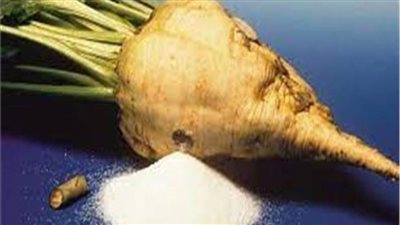 «التموين» تواصل إنتاج السكر المحلي.. وتستقبل موسم توريد البنجر خلال أيام 