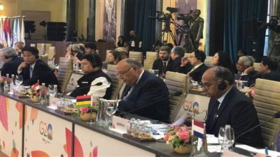 سامح شكري يشارك في أولى جلسات اجتماع وزراء خارجية مجموعة العشرين (صور)