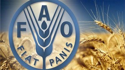 أسعار الغذاء تواصل انخفاضها عالمياً للشهر الحادي عشر