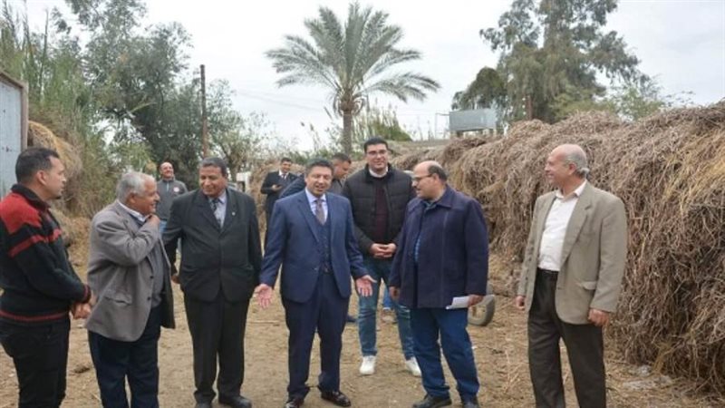 الشورى