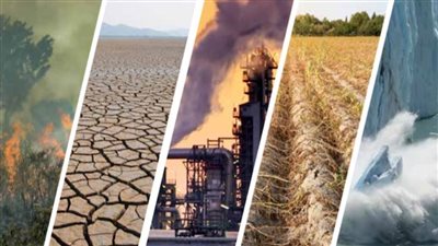 الزراعة: الاستفادة من البحث العلمي لتعظيم إنتاجية المحاصيل ومواجهة التغيرات المناخية