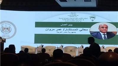 وزير العدل: مصر أول دولة تنشر أحكامها باللغة العربية على منصة 