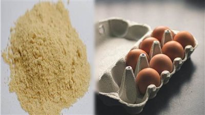 الإحصاء: 379.6 ألف دولار واردات مصر من البيض البودرة 