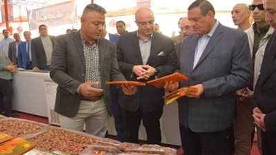 وزير التنمية المحلية ومحافظ بني سويف يتفقدان 