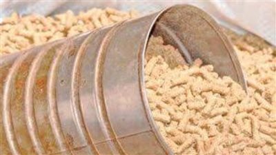 وزير الزراعة: 1.5 مليار دولار إفراجات جمركية على أعلاف خلال 6 أشهر