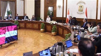 مدبولي: نتطلع لتعزيز التعاون مع الدنمارك بمشروعات الطاقة المتجددة والهيدروجين الأخضر