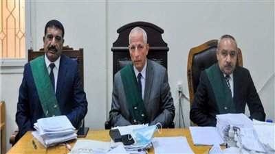 المؤبد لنجل وزير البترول الأسبق لتلقيه رشوة 359 ألف جنيه