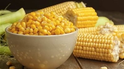 منتجي الدواجن: ارتفاع أسعار الأعلاف 6 آلاف جنيه 