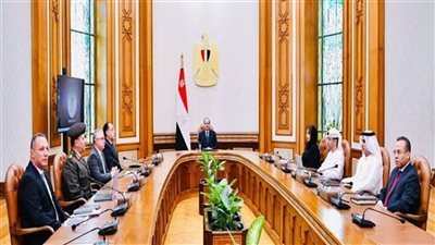 الرئيس السيسي يبحث التعاون مع مجموعة موانئ أبوظبي