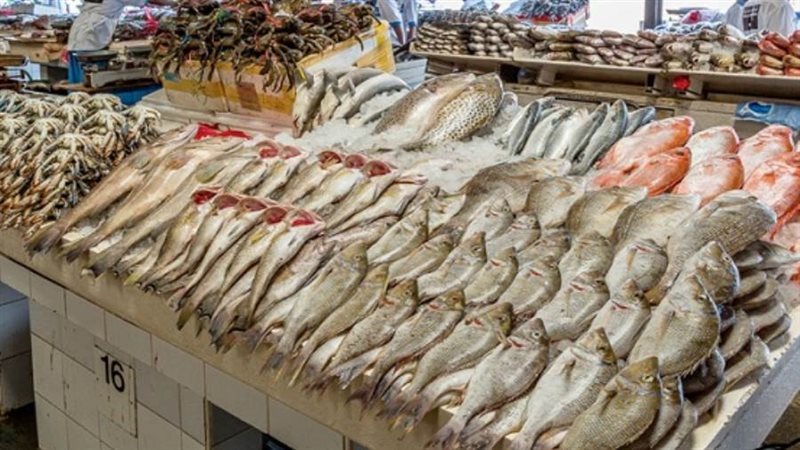 أرشيفية