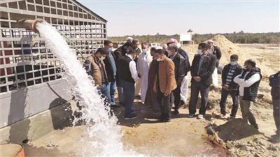 سيوة تنطلق l شبكة الري الحديثة تعيد الحياة إلى جوهرة الصحراء 