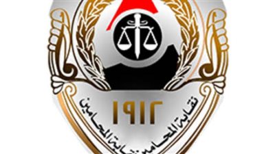 المحامين تناشد 165 عضوا باستيفاء أوراق المعاشات وتنتهي من فحص 119 ملفا