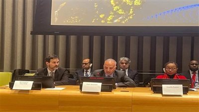 وزير الري يشارك بجلسة 