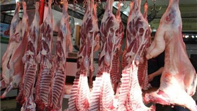 استقرار أسعار اللحوم الحمراء في الأسواق اليوم 24 مارس 