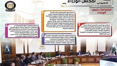 الحصاد الأسبوعي لمجلس الوزراء (إنفوجراف)