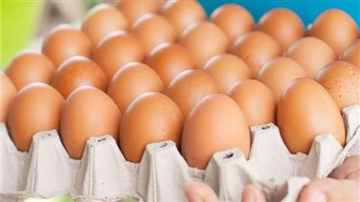 استقرار أسعار البيض اليوم السبت 25 مارس 