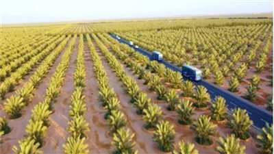 القوات المسلحة تواصل تنظيم الزيارات الميدانية للمشروعات التنموية العملاقة 