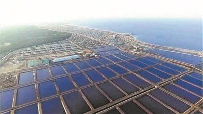 الأكبر في الشرق الأوسط.. مصر تنتهي من إنشاء مدينة تضم أهم صناعة بالعالم