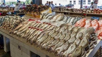 أسعار الأسماك اليوم الخميس 30-3-2023 في الأسواق