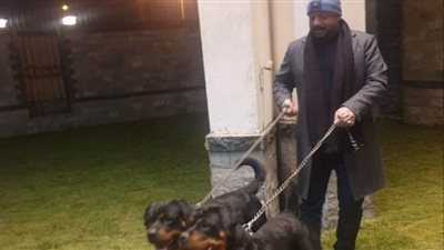 «ابتزاز وسرقة ونصب».. جرائم بطلها «أكرم مصطفى ناصر»