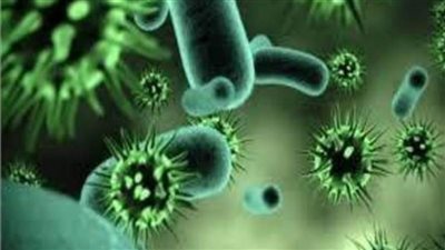 شديد العدوى ولا علاج له.. فيروس «ماربورج» الألماني يثير القلق من جديد 