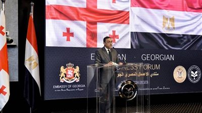 مذكرة تفاهم بين مصر وجورجيا لتعزيز التعاون الاستثماري (صور)