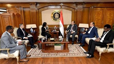 وزير التجارة يبحث استعدادات استضافة القاهرة لمعرض التجارة البينية الإفريقي (صور)