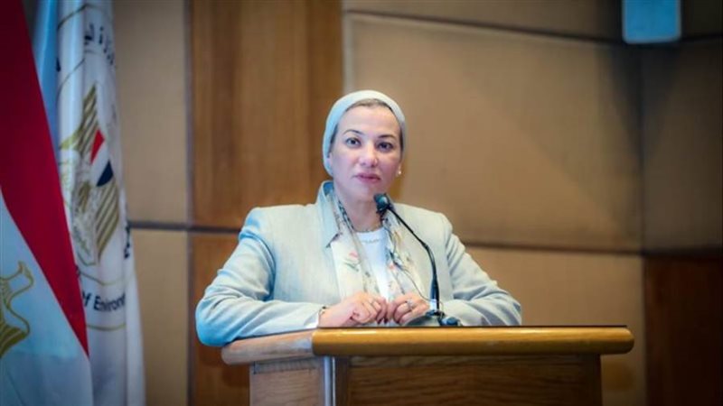الدكتورة ياسمين فؤاد