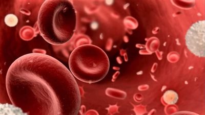 الصحة توجه نصيحة مهمة للمصابين بأنيميا البحر المتوسط 