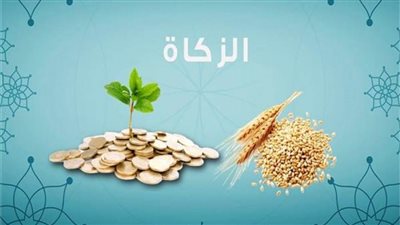 الإفتاء: إذا توافرت في الأسهم الشروط الواجبة لزكاة المال وجبت زكاتها 