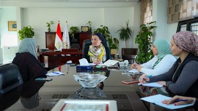 وزيرة البيئة تستقبل الرئيس التنفيذي لـ