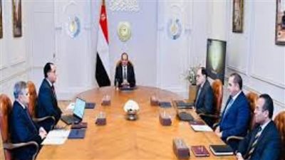 السيسي يوجه بتذليل تحديات توطين صناعة سفن ومراكب الصيد الحديثة في مصر