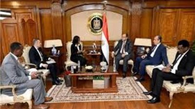 لتعزيز التبادل التجاري.. مصر تستضيف الدورة المقبلة لمعرض التجارة البينية الأفريقي