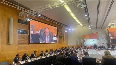 وزير المالية: تطوير الهيكل المالي العالمي لتسريع وتيرة التعافي الاقتصادي 