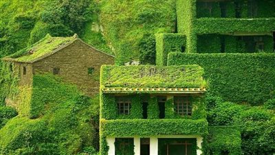 من التسعينات.. «هوتو وان» جزيرة مهجورة غمرتها الطبيعة بالأشجار 