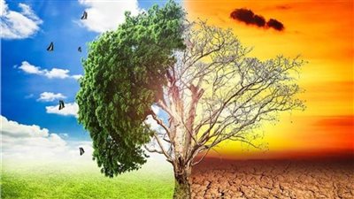 أستاذ مناخ: مصر حريصة على مصالح الدول الإفريقية الأكثر تضررا بالتغيرات المناخية 