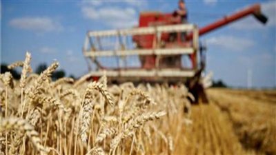 بلغاريا تدرس فرض حظر على واردات الحبوب من أوكرانيا 