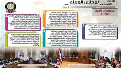 الحصاد الأسبوعي لمجلس الوزراء (إنفوجراف)